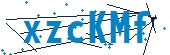recaptcha