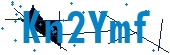 recaptcha