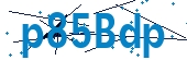 recaptcha