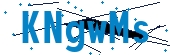 recaptcha